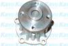 KAVO PARTS TW-2171 Water Pump